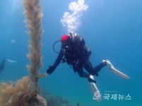 울진군, 제1회 마린피아 울진 전국 스킨스쿠버대회 개최