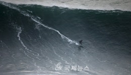 서퍼들의 천국