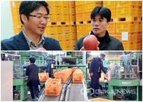 충북원협 충주APC 사과 300톤 내년3월까지 미국 수출