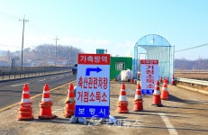 [단독]구제역 발생...보령시 방역비상