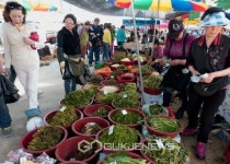 봄나물이 가득한 포천 시골장터.