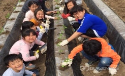영동 용화초등학교, 텃밭 가꾸기 보람 있어요