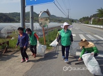 [포토] 청양군 목면 새마을지도자협의회, 깨끗한 충남만들기 대청소 실시