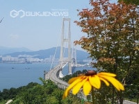 이순신 대교
