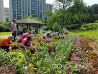 용인시 풍덕천1동, 광교산 입구 꽃 심기 행사 실시
