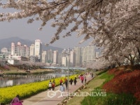 서병수 시장, 부산 온천천로 명품화 해법 찾는다