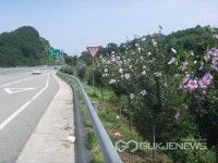 완주군, 명품무궁화 100리길 잇는다!