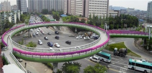 수원시 공원녹지사업소, U-20 월드컵 맞아 테마꽃길