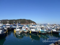 군산지방해양수산청, 군장항 화재ㆍ폭발 예방대책 수립