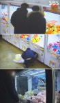 궁금한 이야기 Y 대전 인형 뽑기 방 싹쓸이 사건의 전말은?