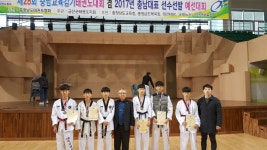 논산비호태권도, 제28회 충청남도교육감기 금3, 은, 동 각1