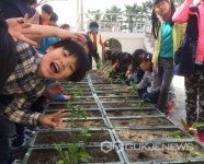 전주시 20개 초등학교에 학교 텃밭 조성