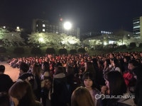 벚꽃 음악회 즐기는 학생들