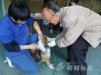 청주시, 광견병 무료예방접종