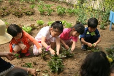 수원시농업기술센터, 10개 초·중학교 대상으로 텃밭 프로그램 운영