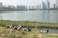 수원 광교호수공원, 조경 작업 한창