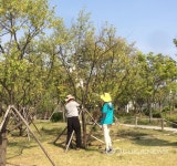 수원 광교호수공원 환경정비 실시