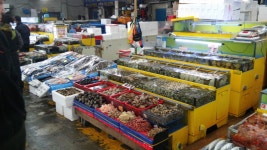 수원시농수산물도매시장 판매 수산물 안심하고 드세요