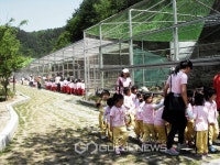 태백 친환경 자연학습장으로 나들이 오세요
