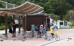 화성행궁 광장에서 자전거 타기