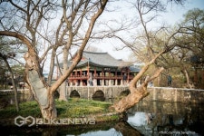 남원 광한루 봄나들이 풍경