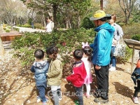 삼척봉황산 산림욕장, 스토리텔링형 시민공원 되다