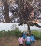 19일 뮤직뱅크 컴백무대 연습중인 가수 정슬기