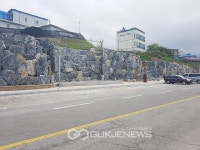 평창조직위, 자원봉사자 명칭 및 슬로건 전국 공모