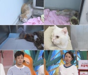 檢 역사상 첫 현직검사 기소…진경준 해임 확정