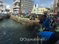부산 남구, 제34회 오륙도사랑 걷기축제 개최