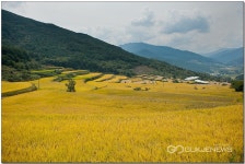 구리시 신천지 자원봉사단, 원촌 노인정 공원 벽화봉사로 시민들 힐링에 앞장서다!