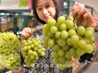 김해삼방전통시장, 사랑의 김장나누기 행사 개최