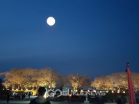 미래유망업종 최상위 항공정비사 인기