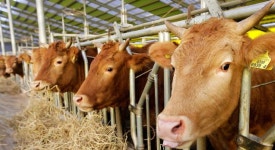 시립예술단, 시민을 위한 화목한 문화 산책 공연