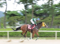 하늘에 골프채널 있다면…외할머니께 우승 보여주고파