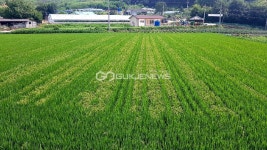 진천군, 장애아동 영양가득 엄마랑 요리교실 운영