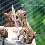 킨텍스, 일산국제컨벤션고등학교와 산학협력 MOU 체결