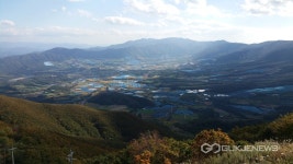 경기도 친환경 학교급식 공급 농산물 안전