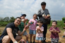 논산상월, 명품고구마축제 개막