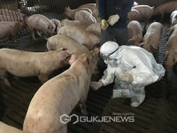 부여군, 지역축제 대비 안전관리위원회 개최