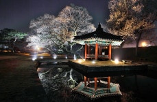 함평공용터미널 편의시설 확충