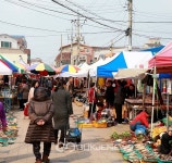 울진군, 공설시장 및 성류굴 등 임시 휴장