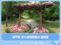 		시민리포터 | 광주광역시청