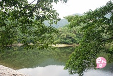 		보도자료 | 광주광역시청