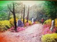 우리동앨범 | 광산구청
