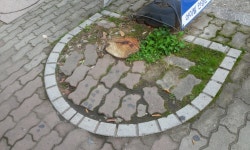 환경신문고 | 광산구청