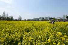 구정사진 | 광산구청