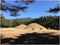 (2016-77) 경주 배동 삼릉 | 경주시 - 시민참여 >시민제안 >문화재사랑 시민봉사단 >문화재 답사활동 후기 경주시, 경주시홈페이지