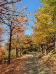 수목원갤러리 | 경상남도 산림환경연구원