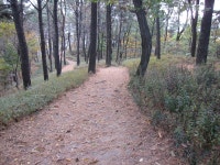  목록 > 보도자료 >  알림마당  > 행정정보 > 